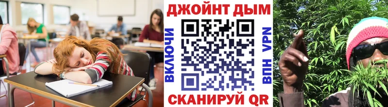 A-PVP Светлогорск
