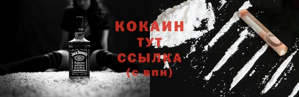 прущие грибы Аркадак