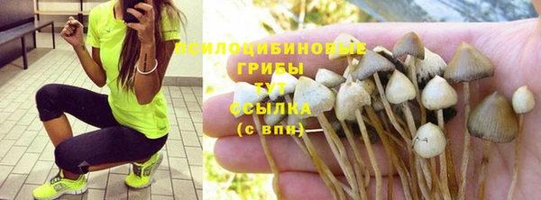 дживик Армянск