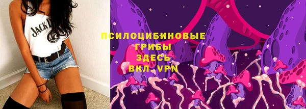 прущие грибы Аркадак