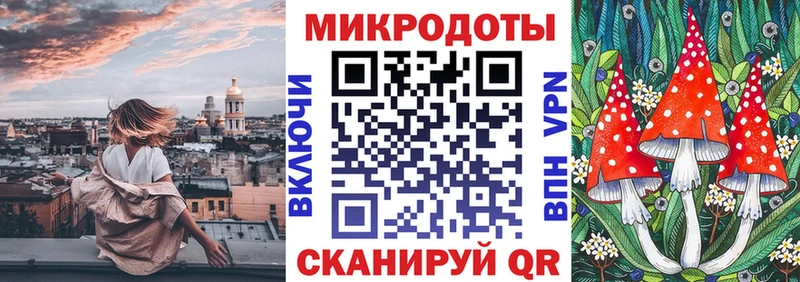 Галлюциногенные грибы Psilocybe  Светлогорск 