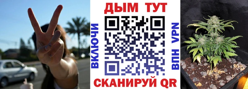 закладка  Светлогорск  Бошки марихуана ГИДРОПОН 